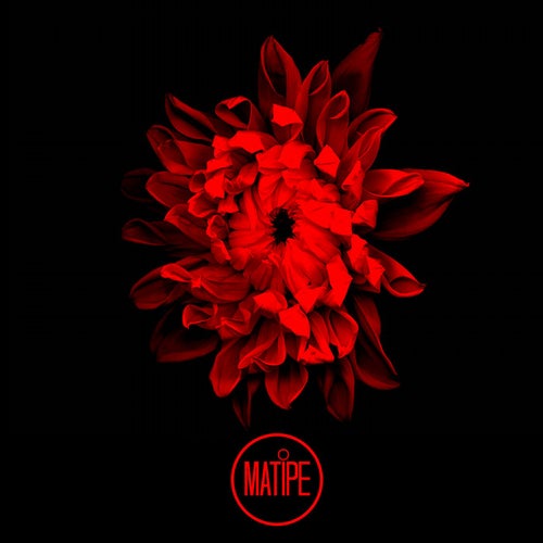 Track01