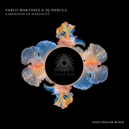 Stellar Black Music & Downloads on Beatport