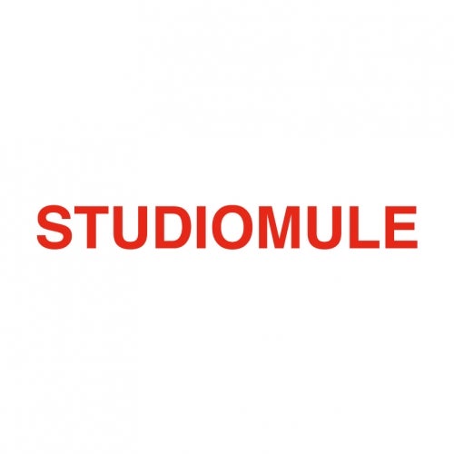 Studio Mule