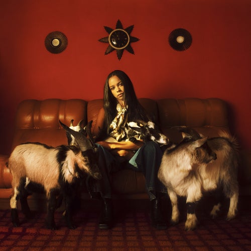 Cover art for Capricorn Sun