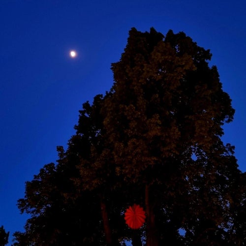 Cover art for Aura