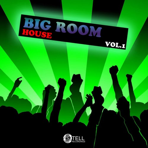 Big Room House, Vol. 1