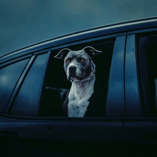 In This Bih' (Extended Mix)