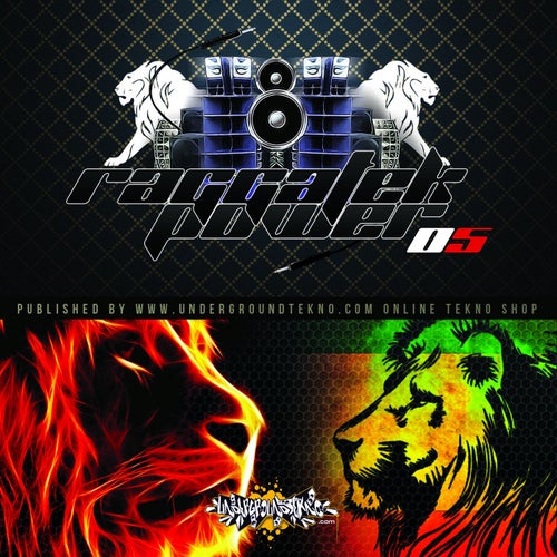 Raggatek Power 05