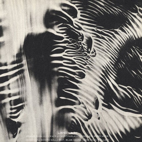 Isgang - Land VA IV (2025) - Wetland