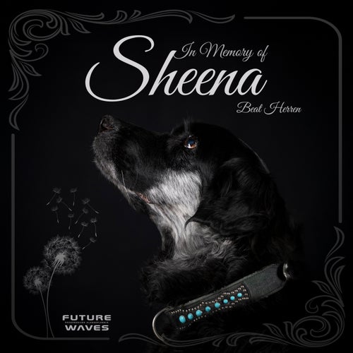  Beat Herren - In Memory Of Sheena (2024) 