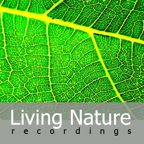 Living Nature Recordings
