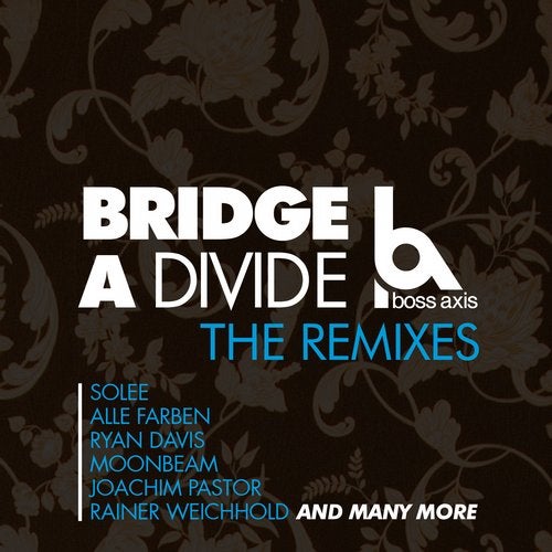 Cover art for Bridge a Divide (The Remixes)
