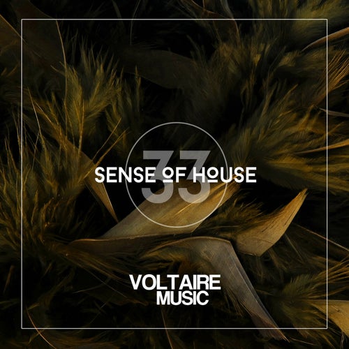 Sense Of House Vol. 33