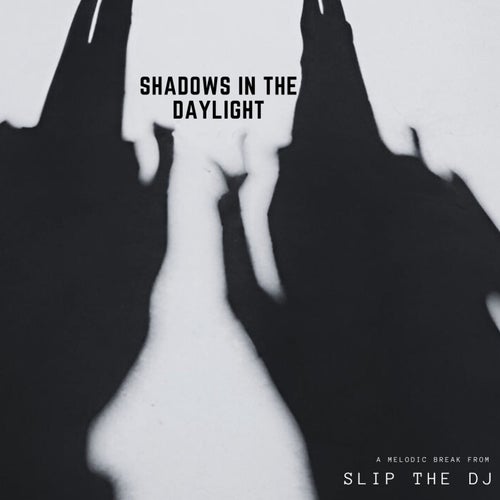 Cover art for Shadows In The Daylight