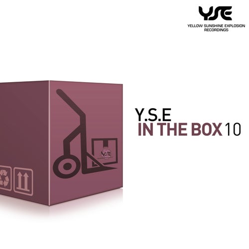 Cover art for Y.S.E. in the Box, Vol. 10