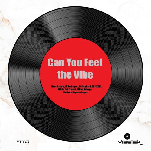 Can You Feel the Vibe