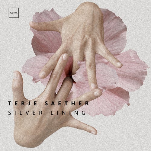 Cover art for Silver Lining