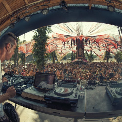 The Acid Revolution
