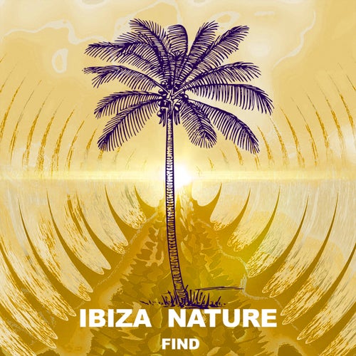 Cover art for Find