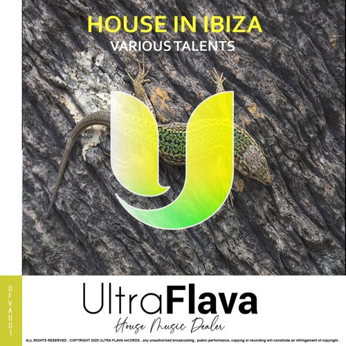  House in Ibiza [Ultra Flava]