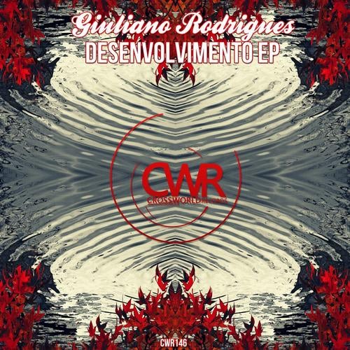 Desenvolvimento