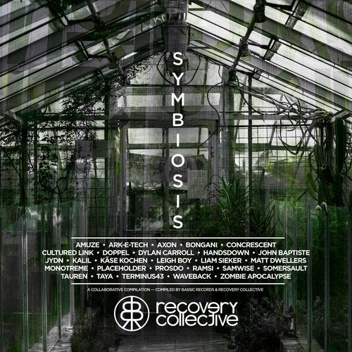 Cover art for Symbiosis: Bassic Records x Recovery Collective