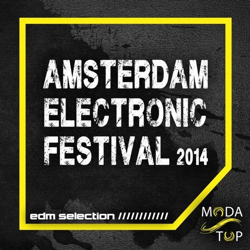 Cover art for Amsterdam Electronic Festival 2014 - EDM Selection