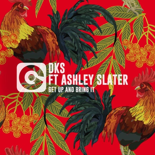 Get Up And Bring It Feat. Ashley Slater