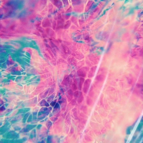 Mycelius
