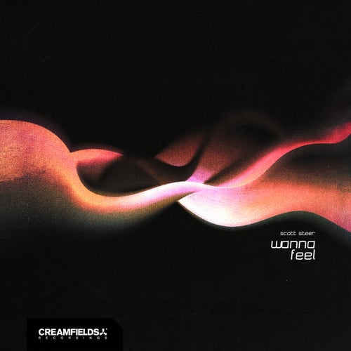 Wanna Feel (Extended Mix)