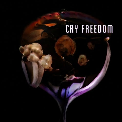 Cry Freedom