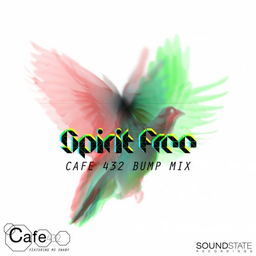 Spirit Free (Cafe 432 Bump Mix)