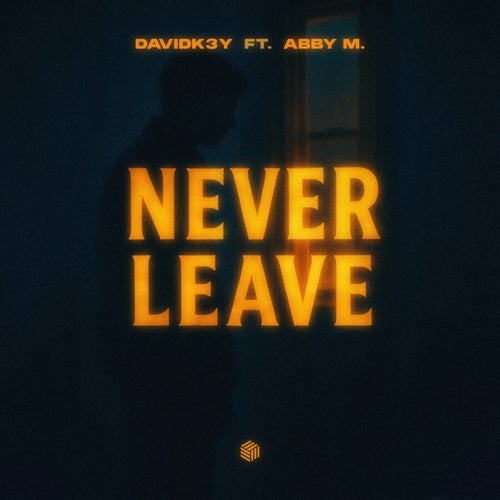 Never Leave (Extended Mix)