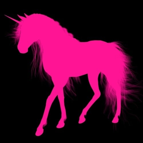 Pink Unicorn Records