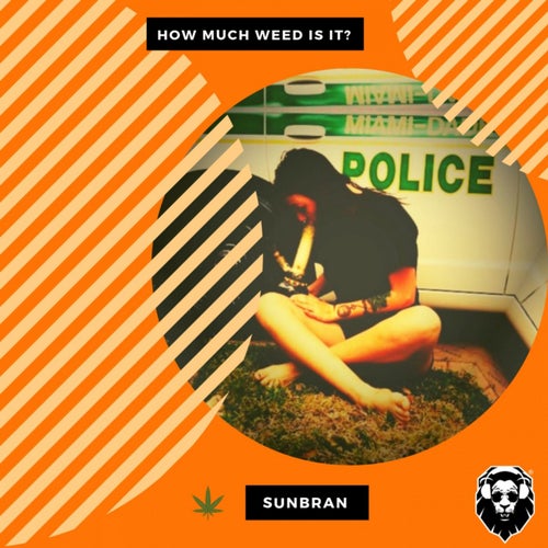 How Much Weed Is It?