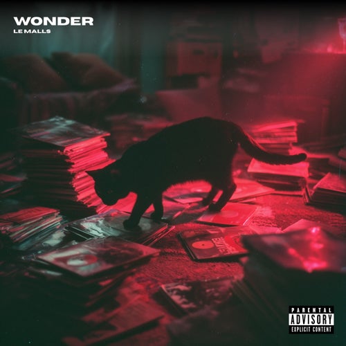 Wonder (Extended Mix)