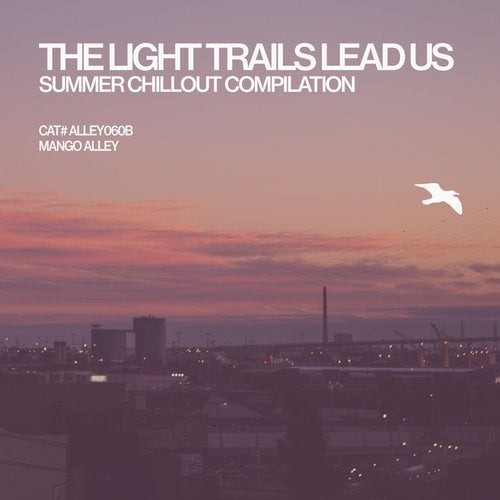 Cover art for The Light Trails Lead Us