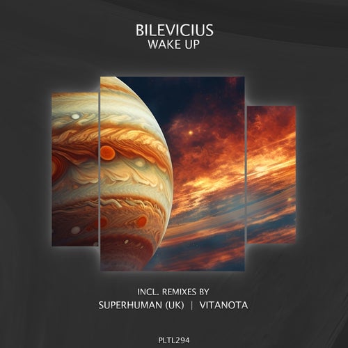  Bilevicius - Wake Up (2024) 