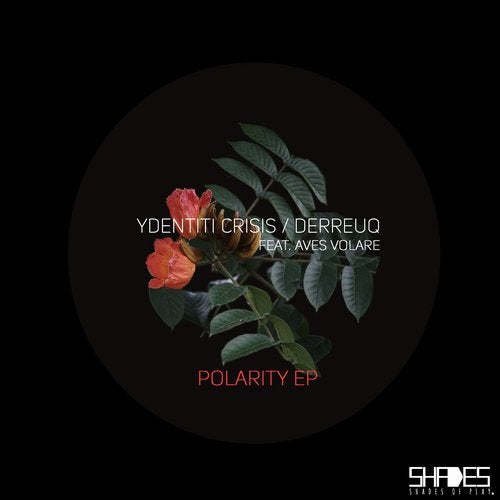 Cover art for Polarity EP
