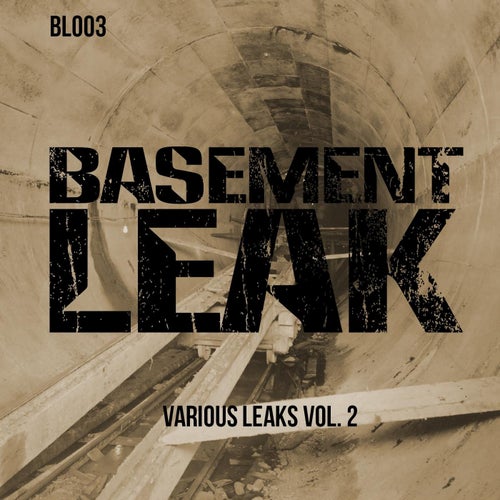 Various Leaks, Vol.2