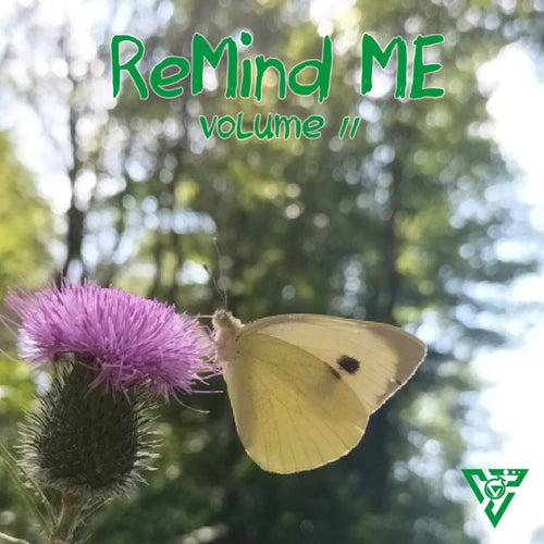 Remind Me, Vol.11