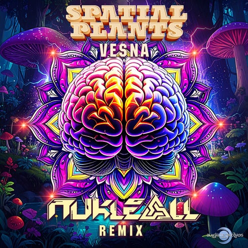 Spatial Plants - Vesna (Nukeall Remix) (2025) Spatial Plants - Vesna (Nukeall Remix) (2025)