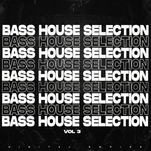 Bass House Selection 2025 Vol. 3
