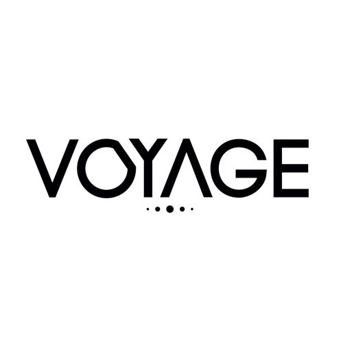 Voyage Inc Records
