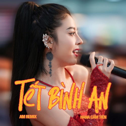Tết Bình An (AM Remix)