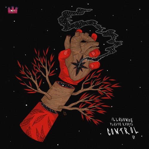 Cover art for Control