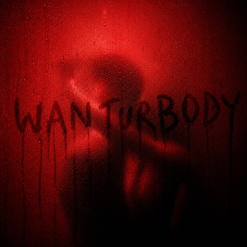 WANTURBODY