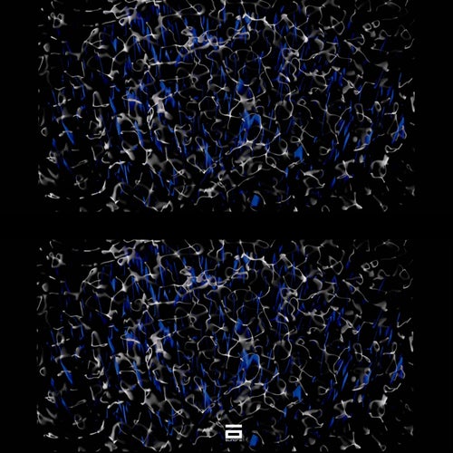 Biocentrism