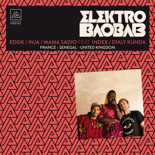 Elektro baobab (France - Senegal - United Kingdom)