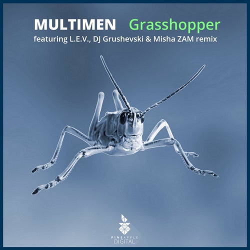 Grasshopper