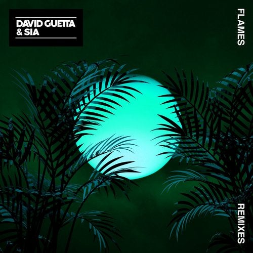 Cover art for Flames