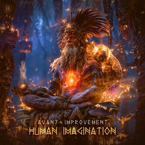 Human Imagination