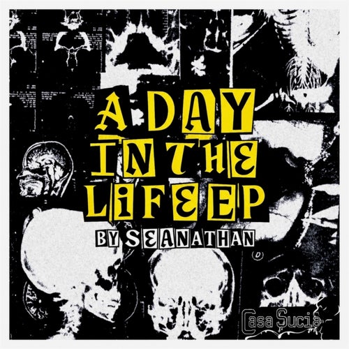 A Day in the Life