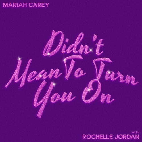 Didn't Mean To Turn You On (with Rochelle Jordan)